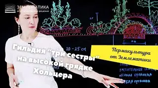Та самая "Грядка Хольцера" с начинкой из органики.