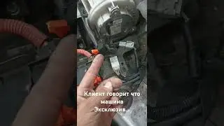 клиент жмот