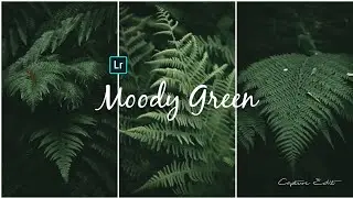 Moody Dark Green - Lightroom Mobile editing ।। Moody Green Lightroom Mobile