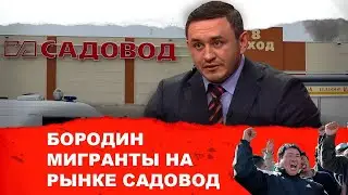 Бородин. Мигранты ЧП на рынке 