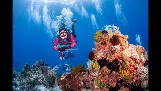 Indonesia Diver Community goes to Alor 13-16 May 2022