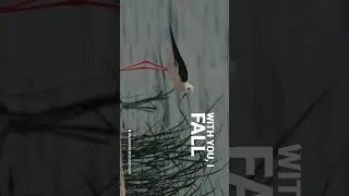 Bird Photography at Nal Sarovar Wildlife Sanctuary - Sad Song