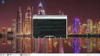 Raspberry Pi OS GPU