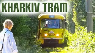 Лісовий трамвай | Харків | Forest tram line | Kharkiv
