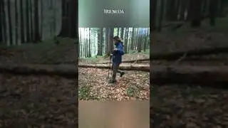 เดินนอร์ดิก walking #ป่า #ภูเขา #germany  #Nordicwalking #mountain #forest #germany #exercise