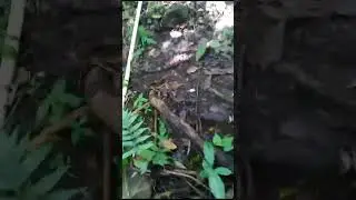 ARIETES HIDRAULICOS  DE ACERO INOXIDABLE PARA ELEVACION DE AGUA