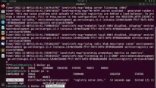 How to deploy docker registry (Distribution) in your local machine?  List images in docker registry