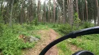 metsäkävely 2 Ducati