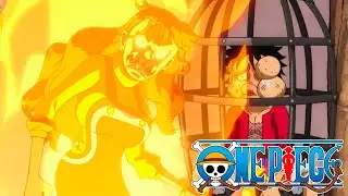 Nami s'éveille au Haki des Rois ?! | One Piece