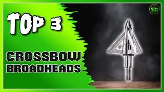 Best Crossbow Broadheads For Hunting