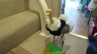 Chain Fong Dancing Ostrich Toy.