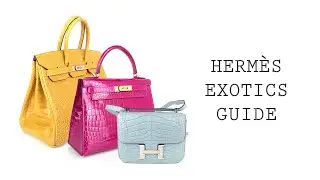 Hermes Guide • Exotics • MIGHTYCHIC •