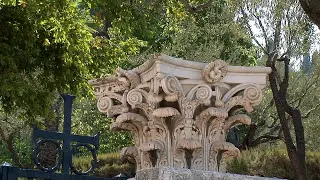 Garden of GETHSEMANE - Jerusalem