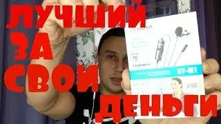 Лучший микрофон петличка для начинающих блогеров   Boya BY M1