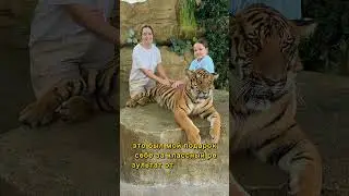 К чему приводит грамотное еженедельное распределение выручки бизнеса