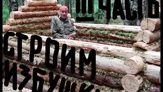 How to build a log cabin-3/Log cabin/sphagnum Moss/crown of the framework/Chop Cup/