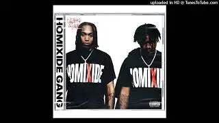 homixide gang - lifestyle instrumental