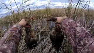охота на утку с подхода