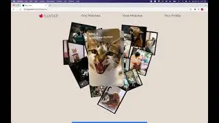 "Dander": A React and Ruby Application