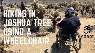 Wheelchair Hiking in Joshua Tree National Park