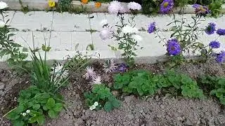 Мой новый осенний день