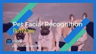 PetNow: Locate your lost pets with facial recognition @ CES 2023