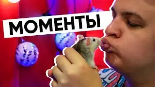Пятёрка и 18 часов монтажа | Смешные моменты со стримов Пятёрки