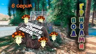 ОХОТА НА ГРИБЫ НА GTA 5 - Majestic RP | 6 СЕРИЯ | Развитие с нуля