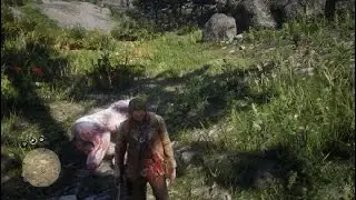 Red Dead Redemption хорошая охота