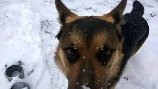 Он не любит снег
