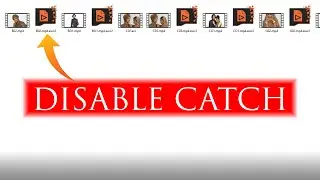 Waveform Cache  How to Disable Temp File in Edius