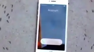 Телефонная аномлия
