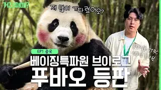 중국 특파원이 말아주는 푸바오 실물 영접 후기ㅣ거긴 어때? ep.1 베이징 #푸바오