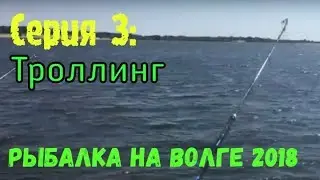Рыбалка на Волге 2018 серия 3: троллинг рыбы. Попадаются в основном щуки и судаки