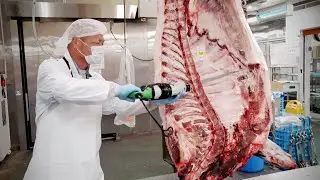 Delicate skills of butchers | Olive-fed Wagyu Beef from KAGAWA