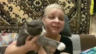 ПАРОДИЯ «Ванильная семья» Без лоха и жизнь плоха !
