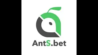 Настройка робота и регистрация 1xbet