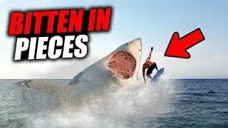 HORRIFIC ATTACK by A GREAT WHITE that you will NEVER forget