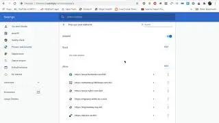 How To Allow Pop Ups on Google Chrome (2021)