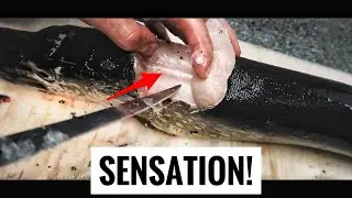 Hechte KOMPLETT GRÄTENFREI filetierten! (5 Filets aus 1 Fisch!)
