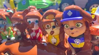 Paw Patrol Pups Covered in Mud! Can You Help Us Clean Them?