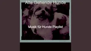 Fröhliche - Einsame Hunde