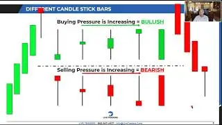 The BEST Trading Course on the Internet