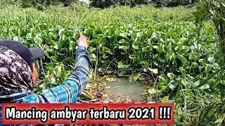 Mancing ambyar terbaru 2021 di sungai berbagai jenis ikan ada di sini