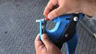Allflex Tissue Sample Collection