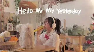 Hello Mr. My Yesterday 명탐정 코난 10기 오프닝 (OP) / 名探偵 コナン / Detective Conan OST