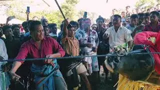 Budaya Sumba // P0t0n6 K3rb4u