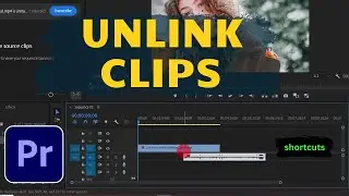 How To Unlink Video And Audio In Premiere Pro (HINDI/URDU)