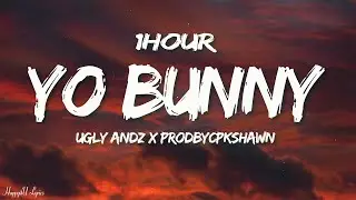 Ugly Andz x Prodbycpkshawn - Yo Bunny (Pop Like This Pt.2 Remix) (Lyrics) [1HOUR]