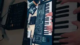 Roland System-8 SynthBass🎹 Part 2 
